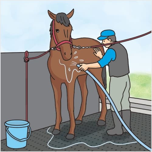 馬房の洗い場に滑り止めゴムマット