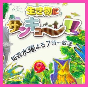 最近はまっているもの～その３～