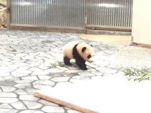 ☆和歌山観光その1☆