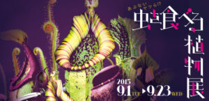 植物園の防草にゴムマットが使われてました