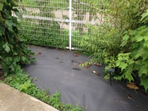 ゴムシートの耐用年数