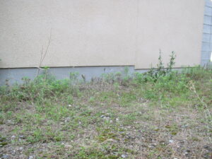 防草（雑草対策）にゴムマットが便利です