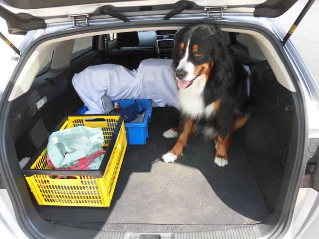 愛犬とのお出掛け時の自家用車荷室の汚れ防止と滑り止めとして使用　ゴムシートの使用事例写真