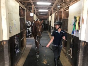 乗馬教室様　厩舎/馬房の滑り止めに　ゴムシートの使用事例写真