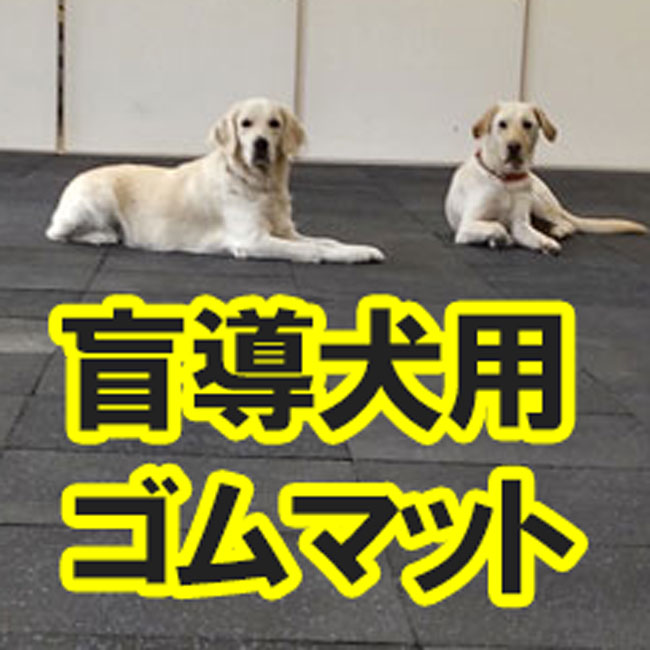 盲導犬の滑り止めとして、ホール内にスポーツジム専用ゴムを使っていただきました