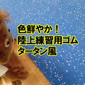 色鮮やか！陸上練習用ゴム　タータン風