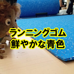 ランニングゴム　鮮やかな青色も人気です