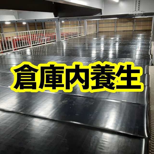 タイヤ販売会社様の倉庫内養生にゴムシートをご使用いただきました